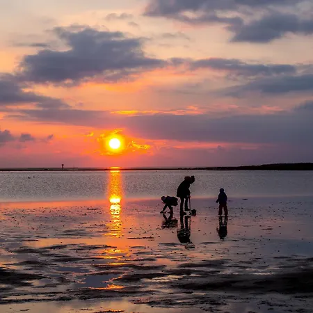 Kormoranweg 42-203 ドルム・ノイフェルト