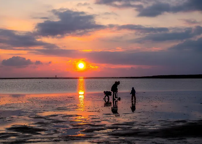 Kormoranweg 42-203 دورم نيوفيلد