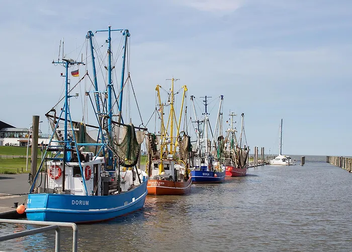 Kormoranweg 42-203 * دورم نيوفيلد